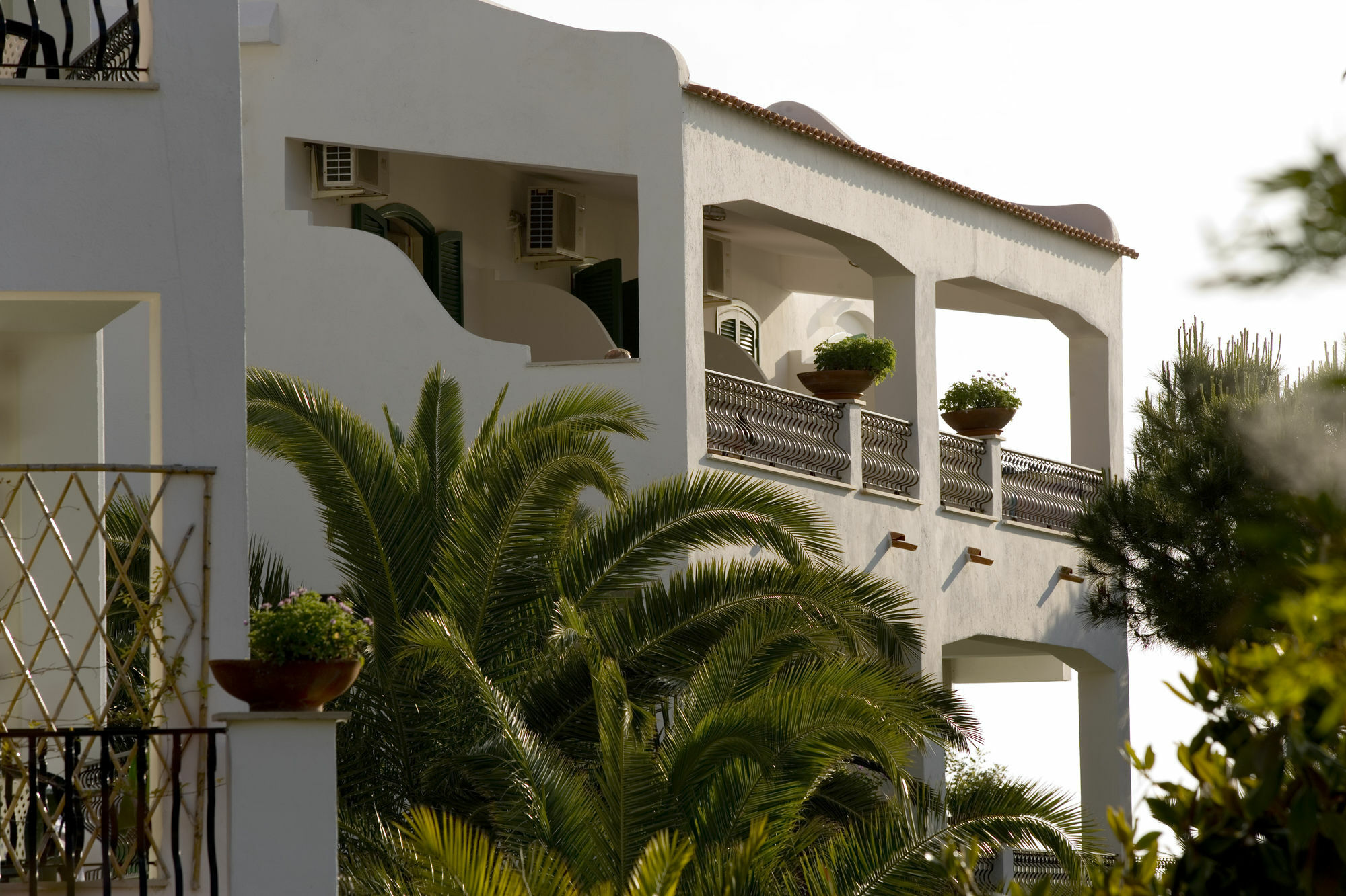 Hotel Parco Maria Terme Forio di Ischia Buitenkant foto